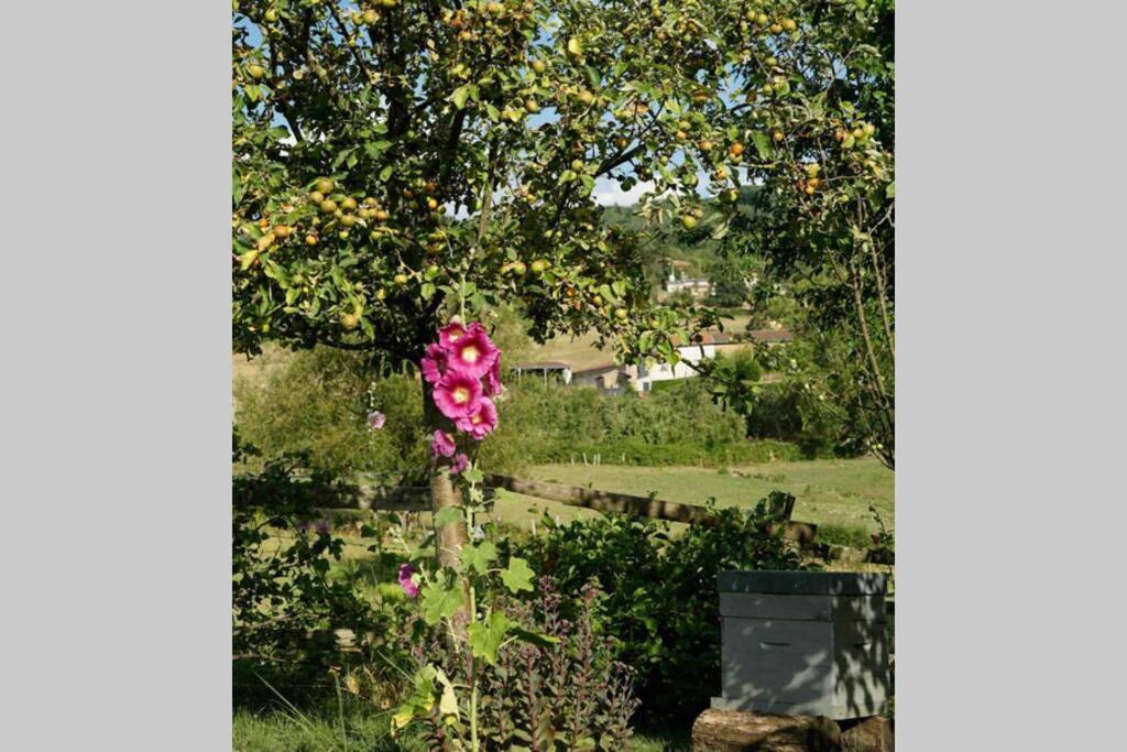 Maison de campagne à 15 km de Cluny Villa Tramayes Esterno foto